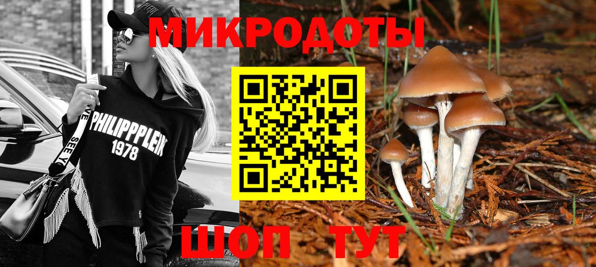 Галлюциногенные грибы MAGIC MUSHROOMS Гудермес